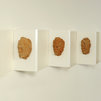 Solve et coagula - visione anteriore - terracotta su tavola e carta - cm 46x304x30