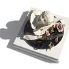 Compianto degli amanti - 2018 - terracotta ceramica dipinta, objet trouvé, legno e plexiglass - cm 35x35x35